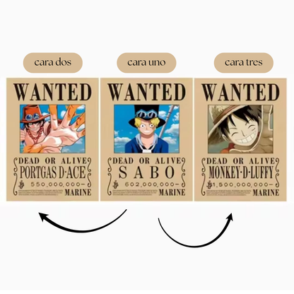 Poster Lenticular 3D one piece